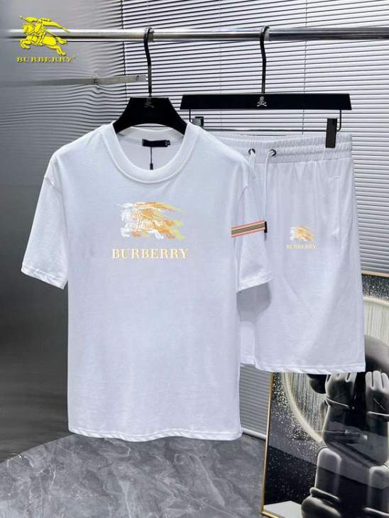 Picture of Burberry Shirt Pant Suits _SKUBurberryM-5XL12yn28220580